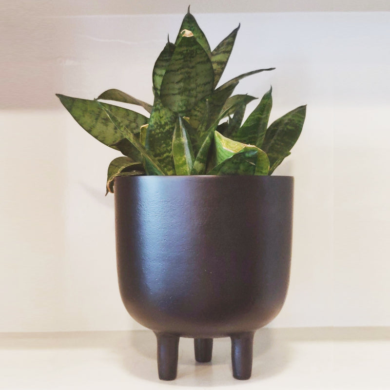 three pot planter VARA STORE