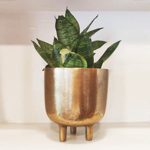 Antique gold finished planter with legs vara store 1
