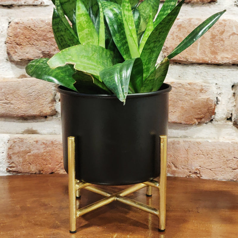 black and gold desk planter with stand vara store 1