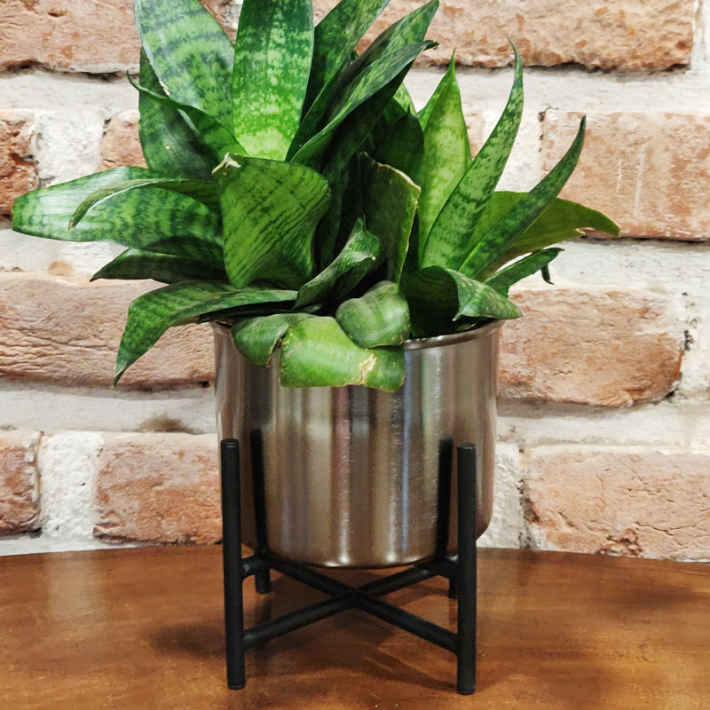 twin planter with stand nickel finish vara store 1